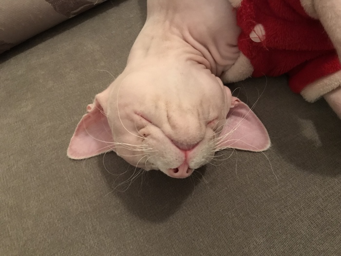 �����-��������