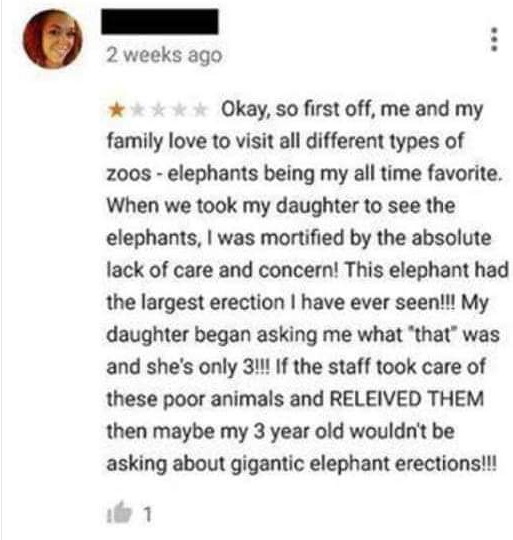 I think it's time for the zoo to open a new job... - Elephants, Children, Erection, Zoo, Question, Care, Attention, Review