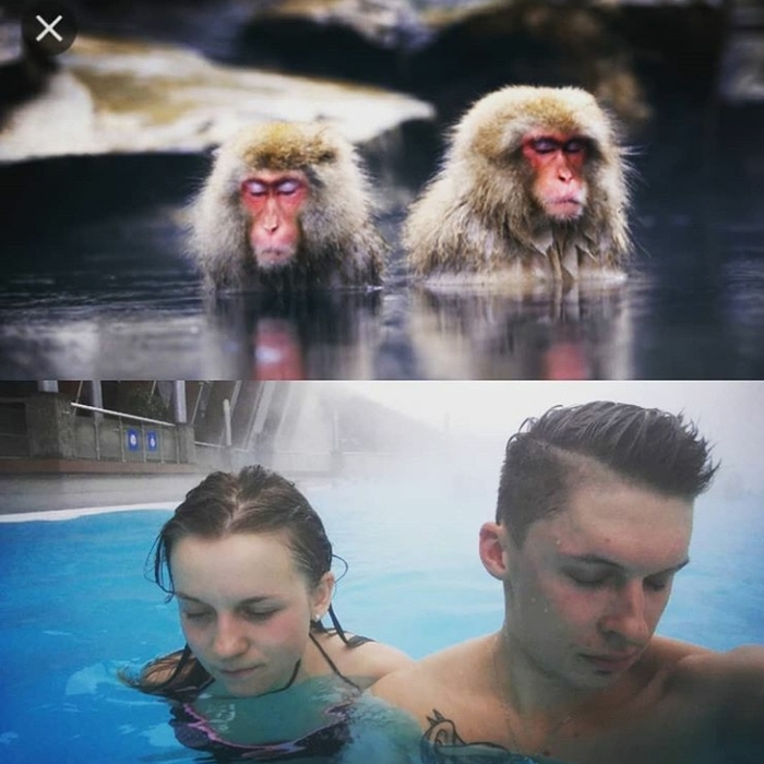 According to Darwin, we evolved from monkeys, how much we have advanced over these millions of years if a ticket to the spa costs 2000 rubles) #self-irony - My, People, Swam, Irony, Yeah