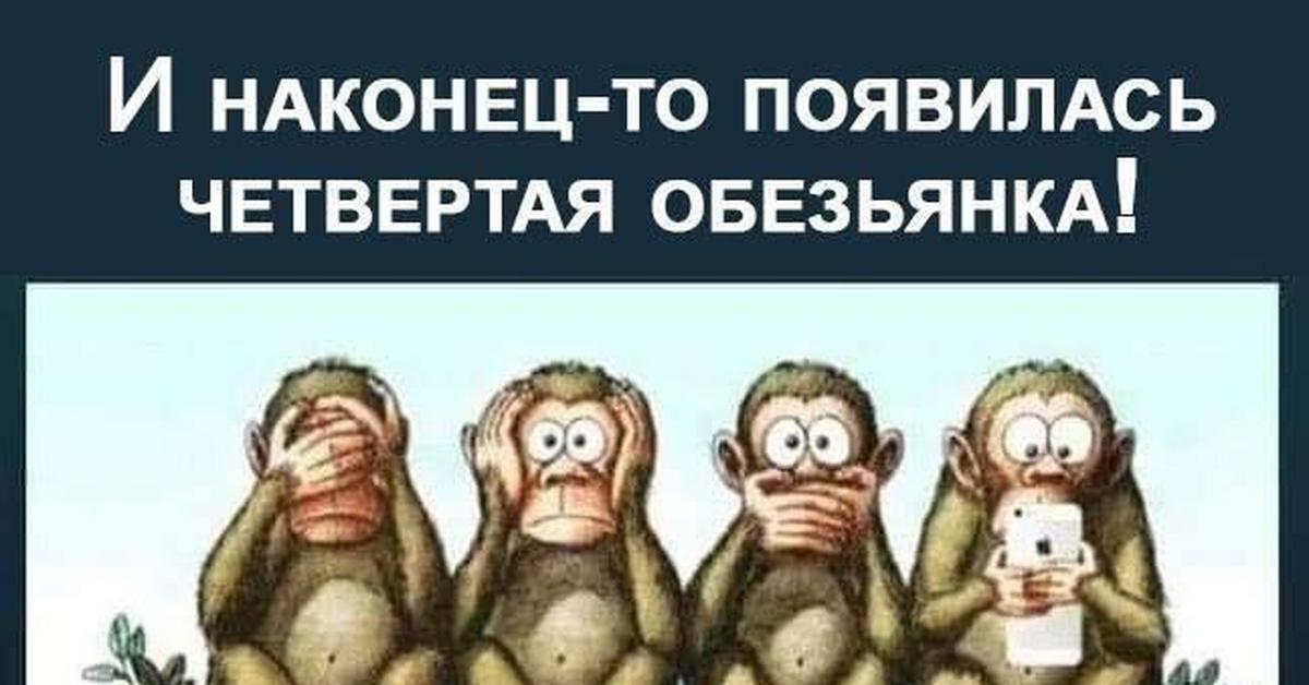 Картинка 4 обезьяны