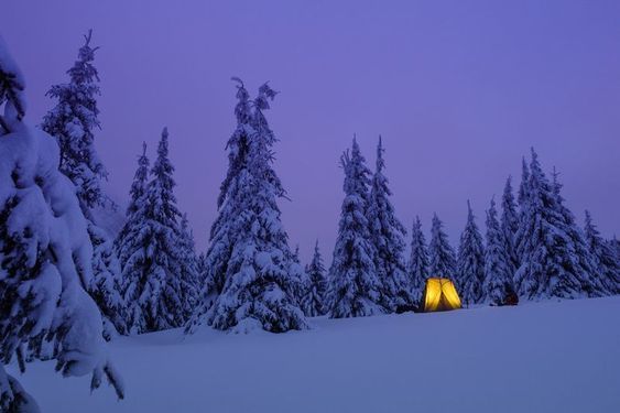 Light in the dark - Winter, The mountains, Forest, Light in the dark