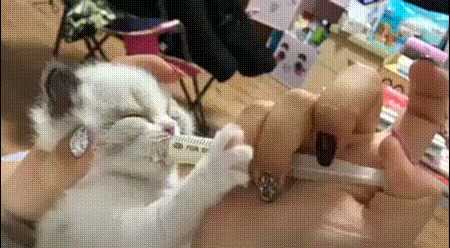 Очень голодный