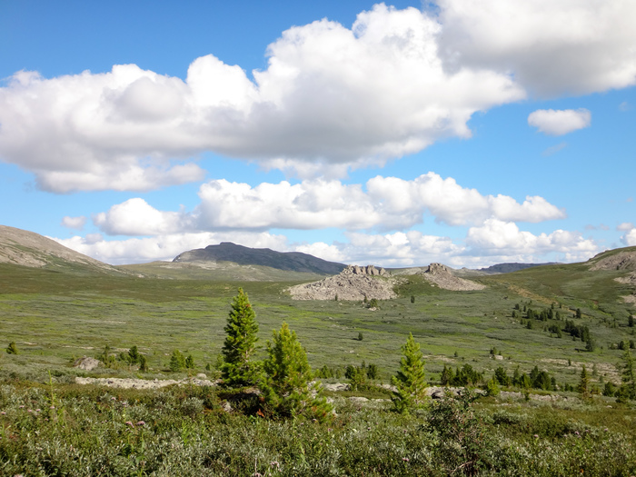 Horseback riding in Altai. - My, Mountain Altai, Horses, The photo, Hike, Longpost, Altai Republic