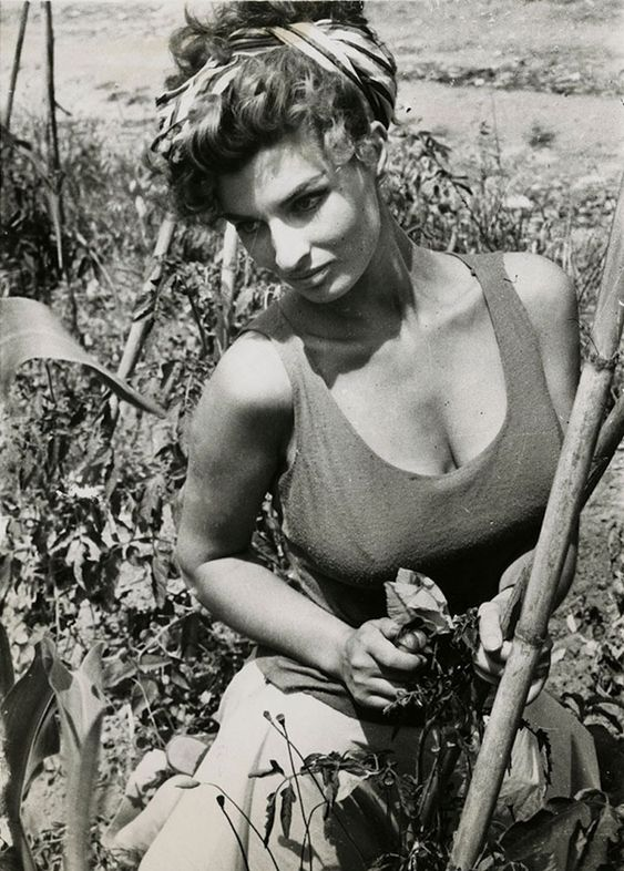 Did you know that Sophia Loren had an understudy? - Retro, Celebrities, Actors and actresses, The photo, Sophia Loren, Understudy, Film Academy