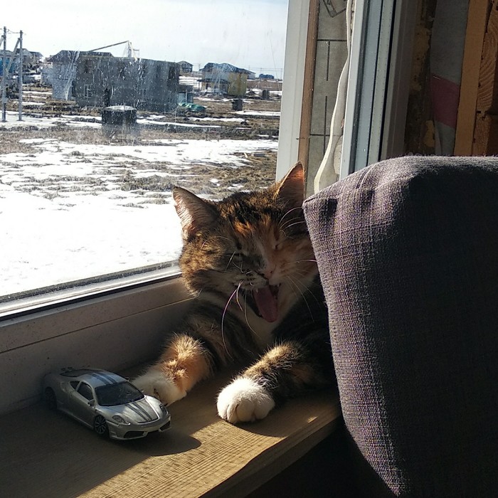 Вот насмешил-то хозяин