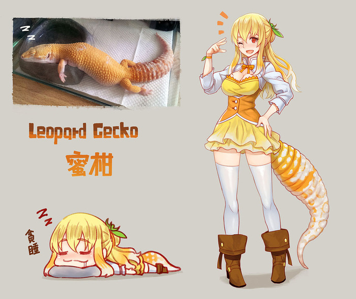 Leopold Gecko - Anime art, , Humanization, Gecko, Leopard gecko
