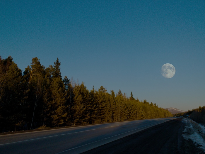 Road to the moon - Forest, The photo, moon, Beginning photographer, Road, My