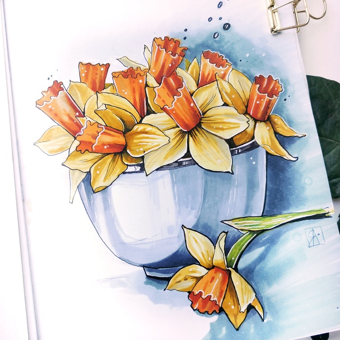 Daffodils - My, Narcissus, Flowers, Sketch, Sketchbook, Drawing, Vase, Art, Alcohol markers, Daffodils flowers