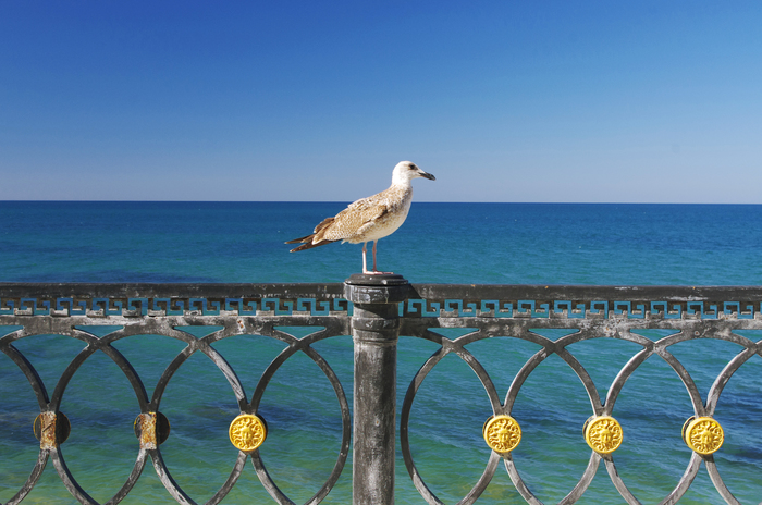 Kacha. - My, Crimea, Kacha, The photo, Sea, Seagulls, Coast, Lighthouse, Walk, Longpost