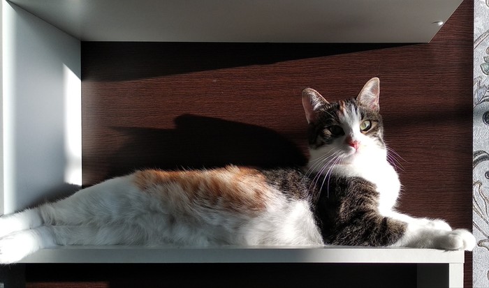 Под лучами солнца.