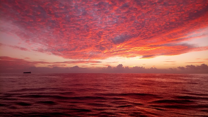 Sea of ??Marmara - My, Sea, dawn, The photo