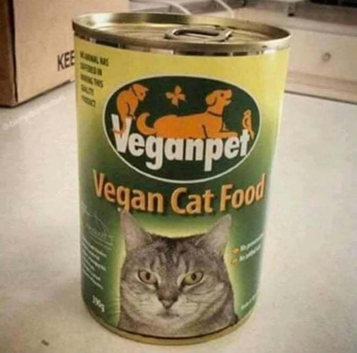 When your cat is vegan - Animal feed, cat, Vegan