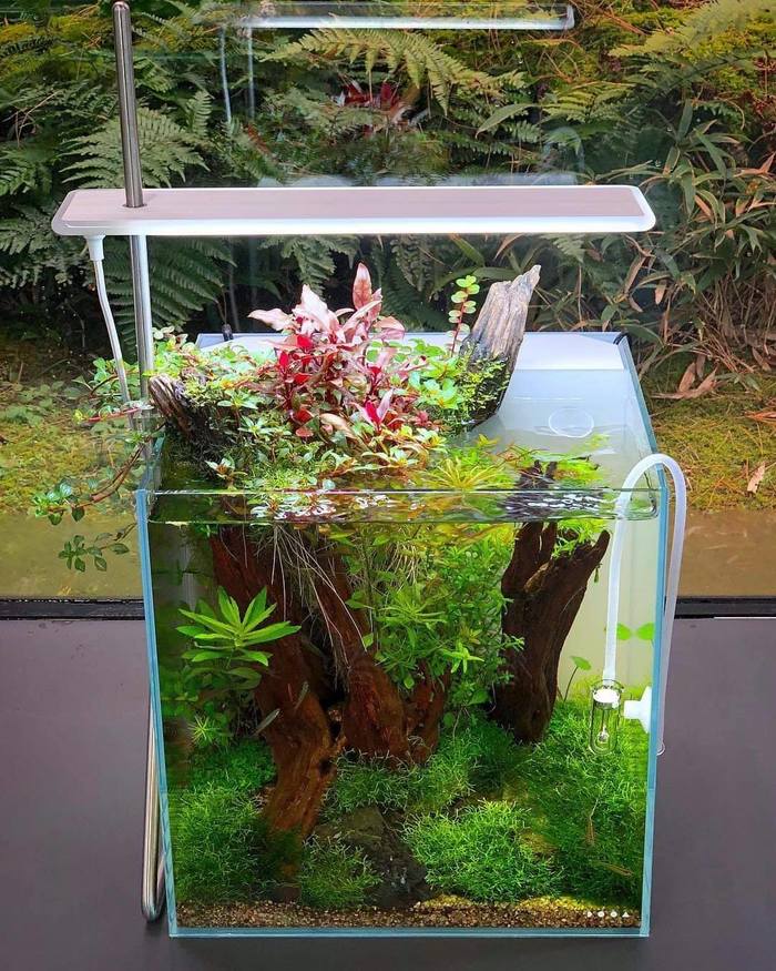 Красивый наник