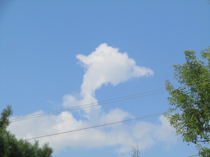 Dolphins fly? - My, Dolphin, Clouds, The photo, Sky, Nature