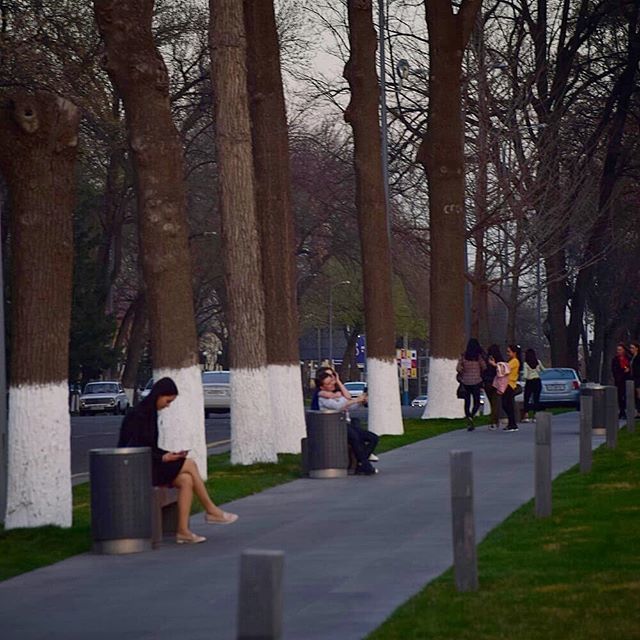 Bread city in spring - Tashkent, Spring, The photo, Flowers, Town, Longpost