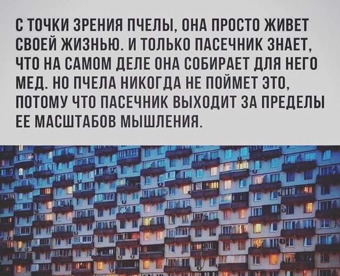 In the wake of posts about How to live if ... you are smart. - My, Problem, Vital, Intelligence, Logics, Common sense, Longpost, A life, Hard