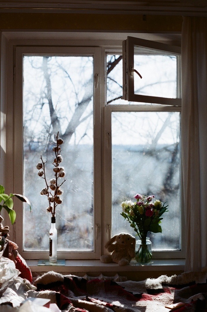 One year in the life of a window - The photo, Photographer, Beautiful view, Window, Nature, Seasons, Art, Longpost