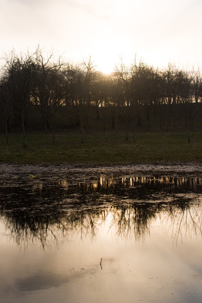 Sunset over the Svisloch - My, Minsk, The park, Photographer, Sunset, Loshitsky Park, Longpost