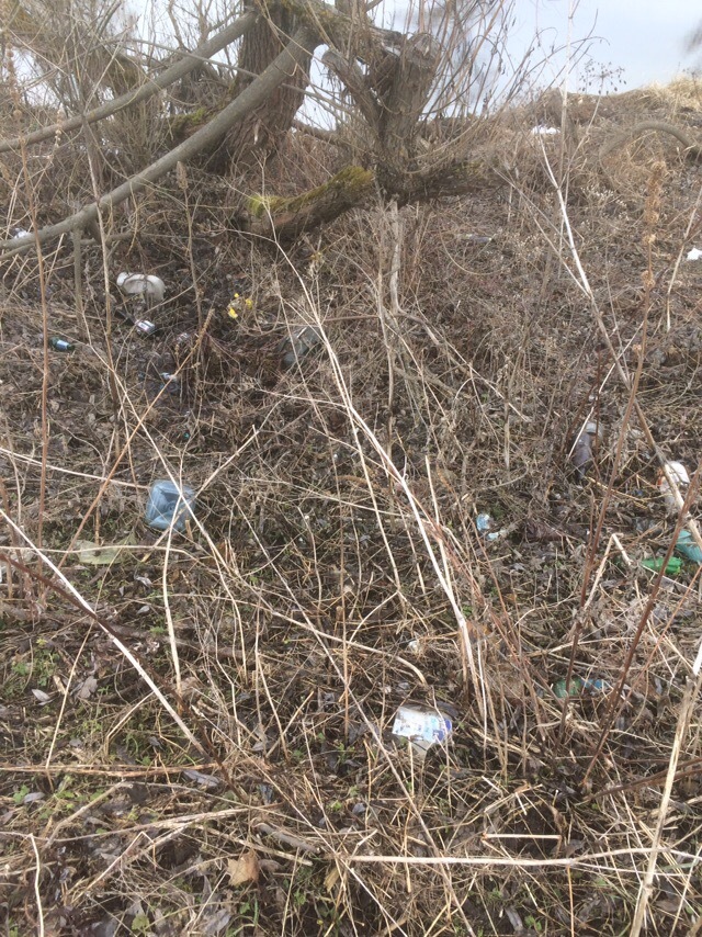 Spring on the Moskva River in the Mozhaisk District - My, Chistoman, Ecology, Shore, Clean forest, River, Moscow, Mozhaysky District, Mozhaisk, Longpost