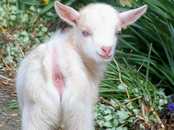 �� �� ������