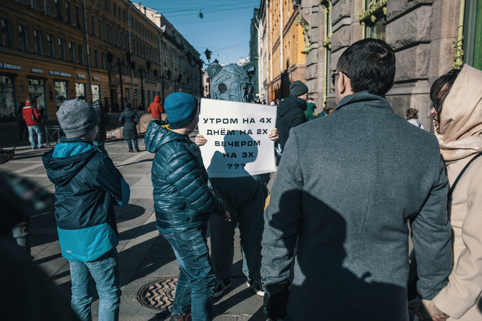 Bear in St. Petersburg - My, Saint Petersburg, The Bears, Mystery