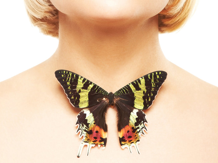 The thyroid gland is not a butterfly! - Thyroid, The medicine, 