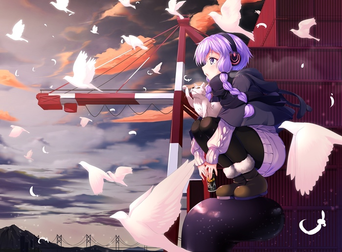 And here is a really nice view... - Anime, Not anime, Vocaloid, Yuzuki Yukari, Voiceroid, Anime art