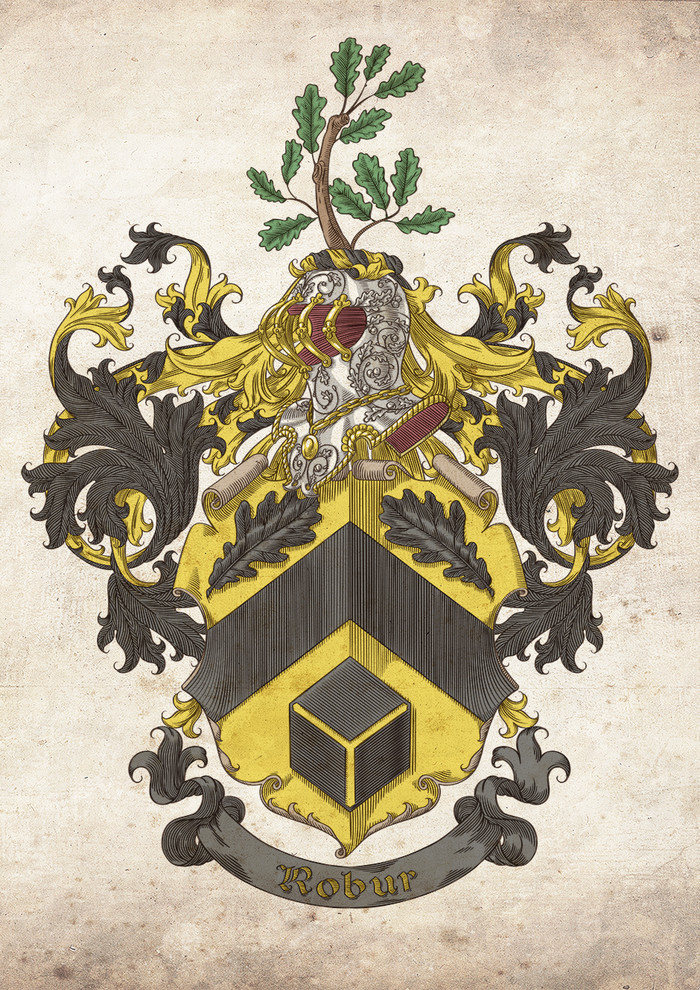 Coat of arms for Kevin Haelterman - My, Coat of arms, Heraldry, Art, Shield, Helmet, Engraving, Vector graphics, Longpost