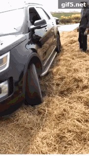 Как не стоит выбираться из сеновала