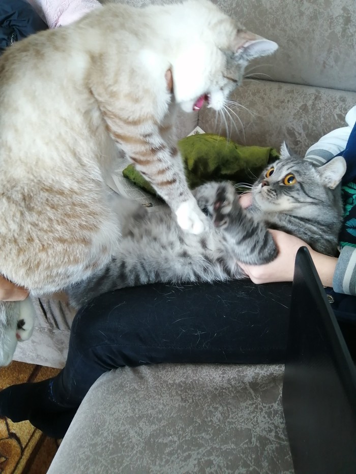 ����� ����������� �������� ����, ��� ��� ��������� � ����