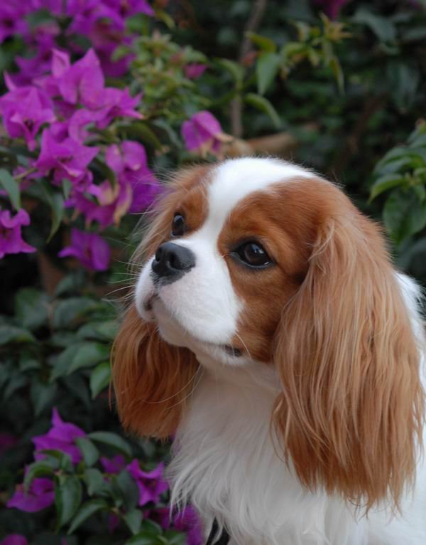 ���-������ ������ �������� ���� ��������?