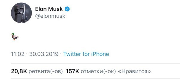 Another duck from Mask - Elon Musk, Duck