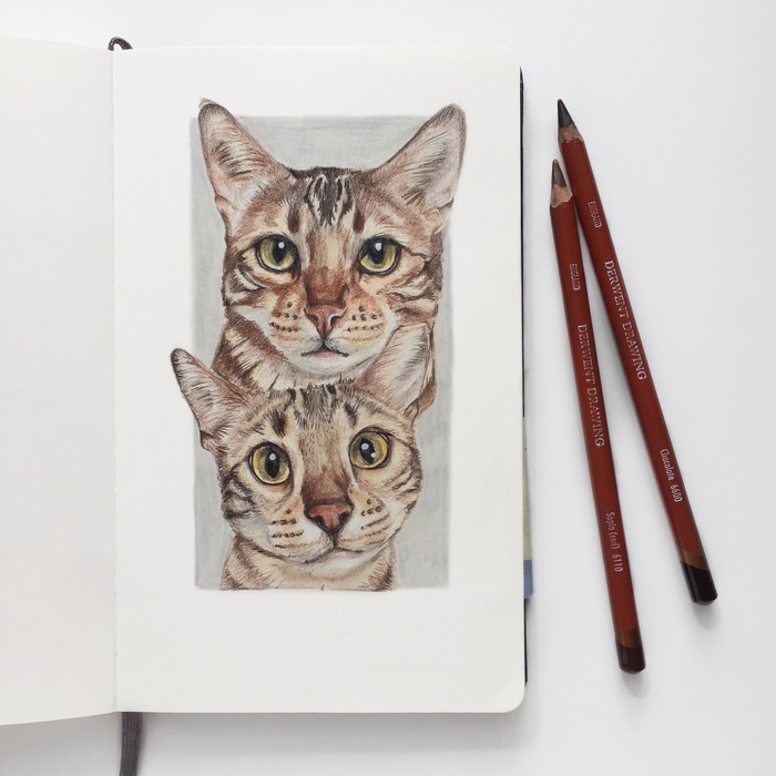 Kittens and dogs. Colour pencils. - My, cat, Dog, Portrait, Art, Longpost, Drawing, Colour pencils, Animalistics, Animals