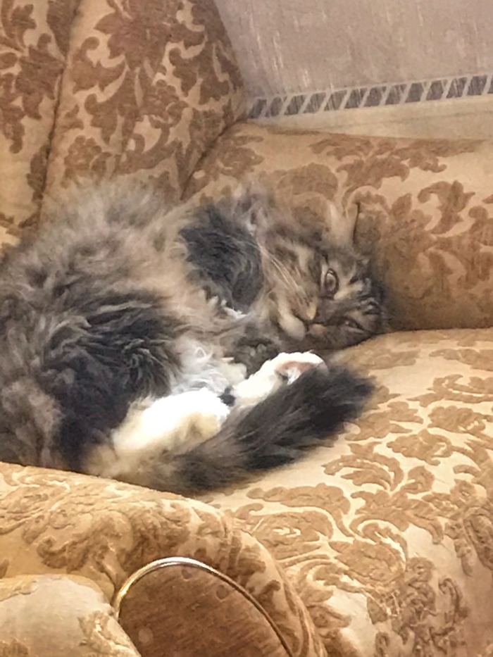 ����� ��������, ��� ������ �� ������