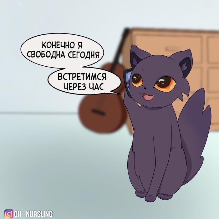 First date - Pets, cat, Longpost, Video, GIF, Web comic, Humor, Animals, GIF with background, Comics, My