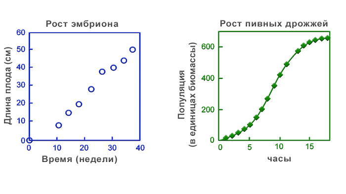 Потому что время летит