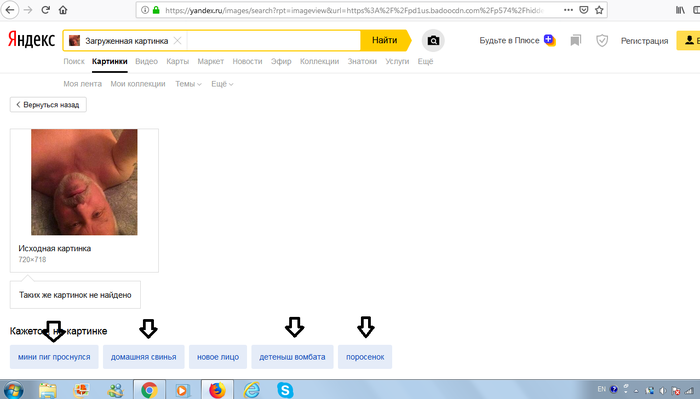 Когда решил себя поискать в интернете...
