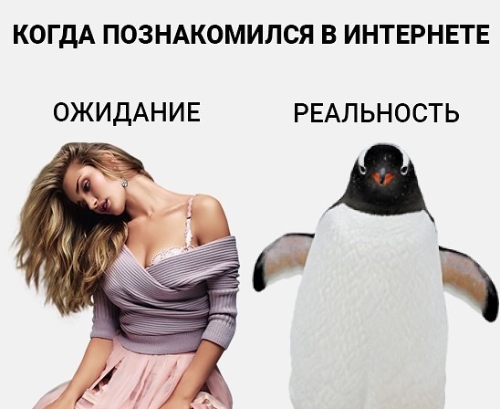 Секс Без Обезальств Москва