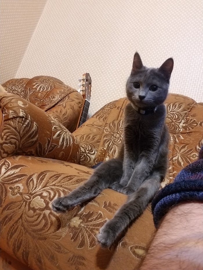 ������... ������ ����� �� �������