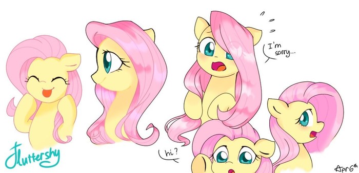 I'm sorry - My little pony, Fluttershy, Chau