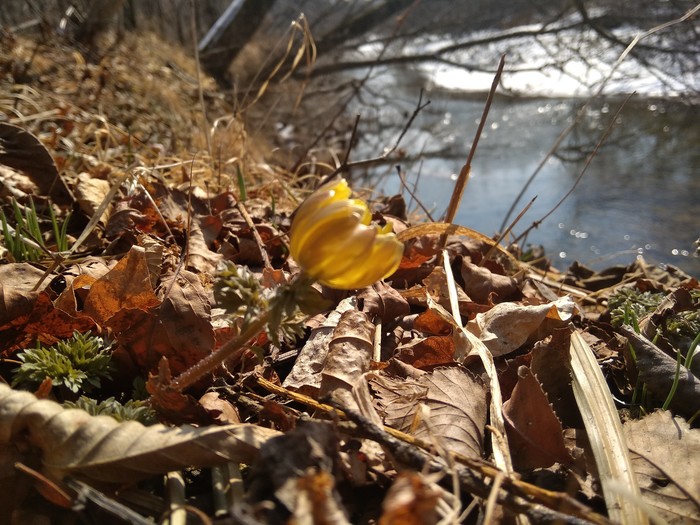 Spring in Primorye - My, Дальний Восток, Spring