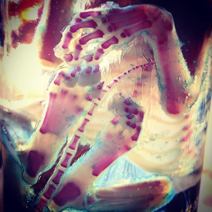 Окрашивая мертвое, или хитрое искусство диафонизации. Длиннопост, Диафонизация, Интересное, Скелет, Животные