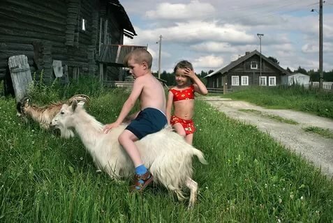 Oh, let's go, dear!!! - Children, Goat