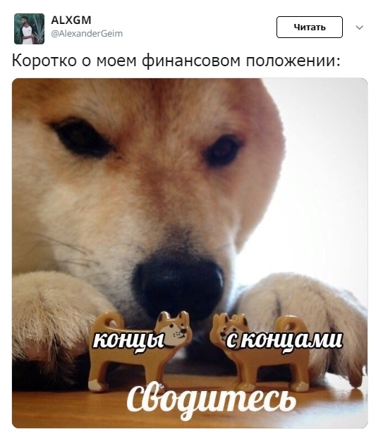 Быстрее сводитесь - Twitter, Юмор