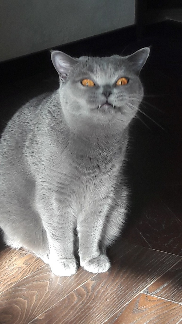 Привет. Есть что?