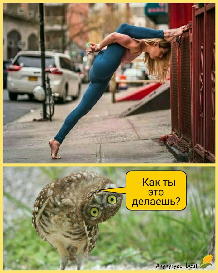 Wow) - Owl, Beautiful girl, Memes, Humor, Stretching, Girls