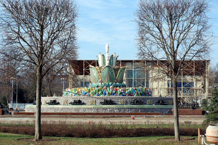 Fountains at VDNKh in Moscow - My, VDNKh, The photo, Fountain, Stone flower, Friendship of Peoples, Longpost