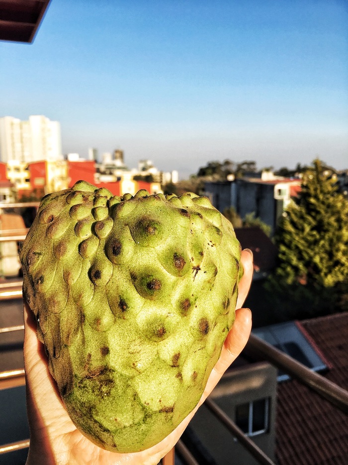 Do you love fruits as much as I do? - My, Mexico, Food, , , Longpost
