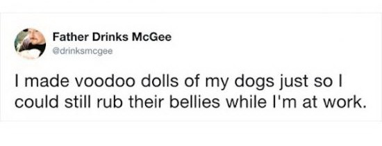 I hope this is a joke - Dog, A voodoo doll, Work, Belly, Twitter