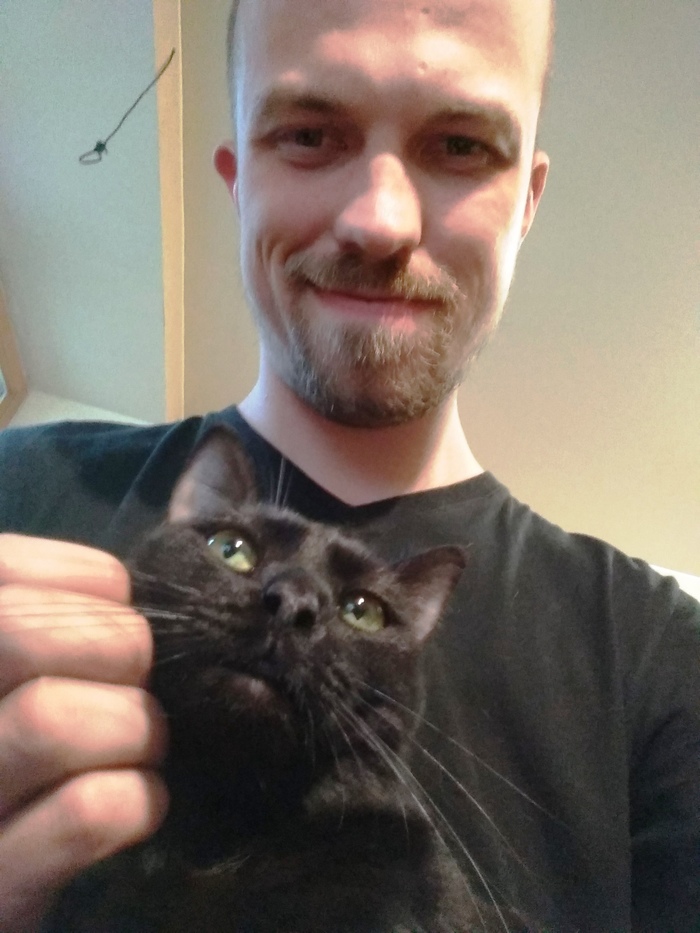 Еще одна история спасения, любимой пушистой задницы Котомафия, Уличные, Кот, Длиннопост